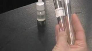 Transfering a bacterial culture to an agar slant [upl. by Llenrap]