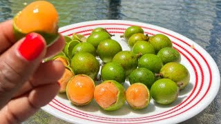 WHY YOU SHOULD EAT MAMONCILLOS QUENEPS  SPANISH LIMES Mamoncillos Queneps Quenepas [upl. by Schramke279]