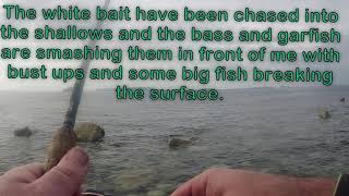 Bass fishing with lures from the shore in Ringstead Bay  Dorset Bassfishing lurefishing uk [upl. by Crosley840]