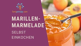 Marillenmarmelade selber machen Mein KonfitüreRezept aus Österreich selbst eingekocht [upl. by Eyaf]