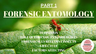 Forensic entomology  Forensically important insects  Role of forensic entomologist [upl. by Oiram]