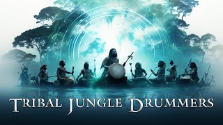 Tribal Jungle Drummers  Steady Groove for Motivation  Dance  Meditation  Shamanic Work [upl. by Branham871]