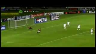 Top ten best goals african cup 2010 [upl. by Stein]