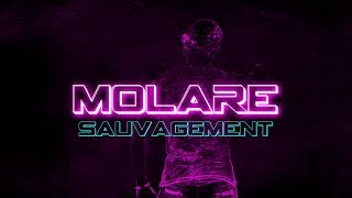 Clip MOLARE quotSauvagementquot Officiel HD [upl. by Siesser]