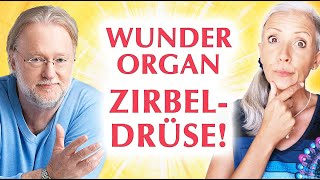 Das WUNDER quotZIRBELDRÜSEquot ☀️ Wichtiges SPECIAL mit Dieter Broers  Tipps amp Inspirationen [upl. by Arretak]