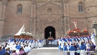 Semana Santa Salamanca 2017  Procesión del Encuentro [upl. by Cram]