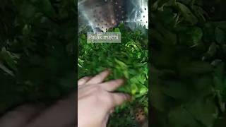 Palak methi ke parathe recipe bollywood love [upl. by Anitnatsnok]