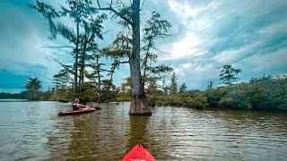 Kayaking Cache River Wetlands Southern Illinois Shawnee National Forest [upl. by Lanette854]