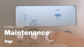 The Barista Pro™  How to perform a clear water backflush in three steps  Sage Appliances UK [upl. by Nivlad]