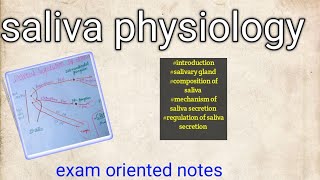 saliva  salivary glands composition mechanism regulations [upl. by Robinette452]