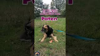 ❤️ KAZAN sucht PATEN ❤️ [upl. by Jolenta]