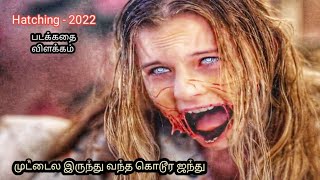 Hatching  2022 Movie explanation in tamil  hollywoodmoviestoryexplainintamil [upl. by Ahsiakal]