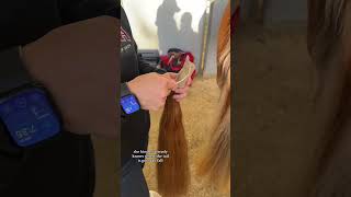 How To Put In Your Horse’s Fake Tail shorts equestrian horseshow aqha quarterhorse [upl. by Indihar]