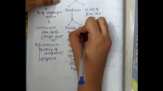 antidiuretics mp4  Pharmacology [upl. by Kassel]