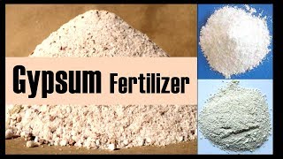 The Fertilizer Gypsum and its effectiveness [upl. by Topping]