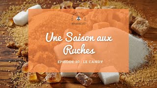 Une Saison Aux Ruches Episode 20 🐝 [upl. by Trevlac]