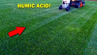 YOU Should Use HUMIC ACID for a Healthy Lawn [upl. by Webster]