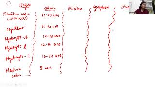 Auricles Exam Mastery Physiology Live class By Dr Aanchal  Auricle [upl. by Mccahill]