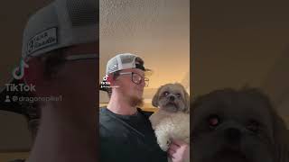 No animals where harmed in the making of this vid dog puppy pets puppylife puppylovers [upl. by Aihtibat]