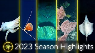 2023 Expedition Season Highlights Deep Sea Science and Collaboration  Nautilus Live [upl. by Lluj]