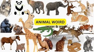 Animal name 30 name of animals study for kids with shikshaboosters704 [upl. by Gnidleif]