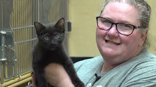 National Adoption Week at PetSmart [upl. by Rockey857]