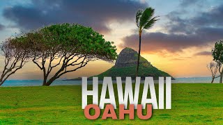 TRAVEL TO OAHU HAWAII [upl. by Babita]