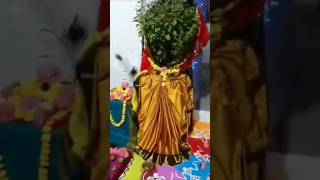 Tulsi vivah 🙏✨tulsivivah yt [upl. by Oramlub]