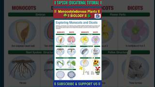 Monocotyledonous Plants ll Biology ll Science ll Class 4 To 10 ll shorts biology science [upl. by Camile]