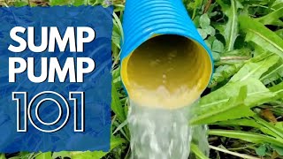 Backyard Sump Pump 101  Everything You Need To Know [upl. by Packton]