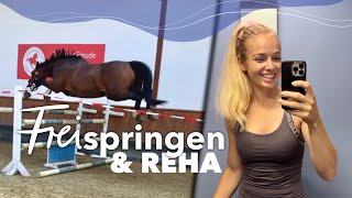 Lehrgang Training Freispringen Rehaerfolge 😍  Weekly Vlog 167 [upl. by Oludoet]