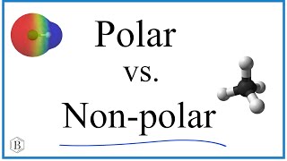 Polar vs Nonpolar Bonds [upl. by Leasa785]