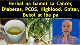 Herbal na Gamot sa CancerDiabetesPCOSHigbloodGoiterBukol at ibapa🦠👇 [upl. by Niotna95]