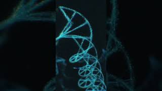 Structure of chromosome ramesh99 [upl. by Aerdnas]