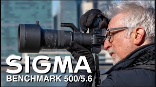 Sigma 500mm f56 DG DN New BENCHMARK in Super Telephotos [upl. by Zsa615]