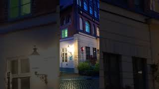 germany lüneburg europe travel rain shorts fyp foryou ფორიუ მოგზაურობა [upl. by Kroo]