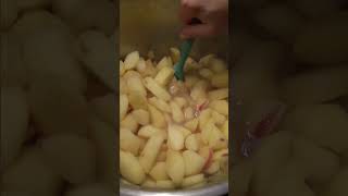 Very EASY Applesauce 🍎 [upl. by Portuna479]