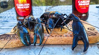 Beer Steamed Yabbies  Yabby Catch And Cook Crawfish [upl. by Eimor]