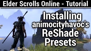 Elder Scrolls Online  Tutorial  Installing ReShade amp animosityhavocs Presets [upl. by Hgieloj484]