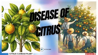 DISEASES OF CITRUS [upl. by Arim286]