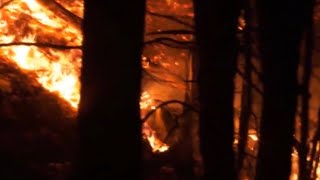 Wildfires rage on both US coasts [upl. by Elsie126]