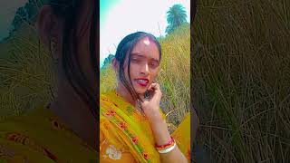 song music hindisong shortsvideo kalyani viralmusic bollywood [upl. by Hagep763]