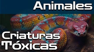 Poder Tóxico El Arma Secreta de los Animales Salvajes [upl. by Eniluj71]