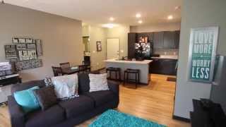 New 1 bed1 bath Mayfair apartment for rent at The Flats at 84  84th amp Old Cheney Lincoln NE [upl. by Acihsay]