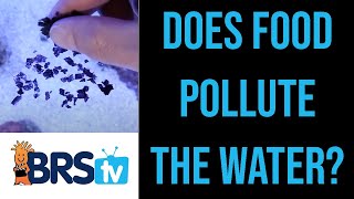 How Do Foods Pollute Reef Tanks  ep1 BRStv Guide to Pollutive Foods [upl. by Ariday]