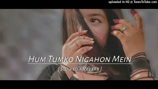 Hum tumko nigahon mein  Slowed  Reverb  Hindi song humtumkonigahonmein hindisong music INST [upl. by Huff873]