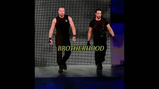 Brotherhood of shield 💜😱shorts wwe [upl. by Geoffrey667]