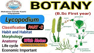 Lycopodium life cycleLycopodium homeopathic medicine  PART2 [upl. by Ardnoik]