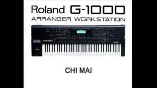 Roland G1000 demo tone amp style – 10 short songs [upl. by Alieka]