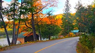 Gatineau Park in Fall canada quebec [upl. by Risteau]